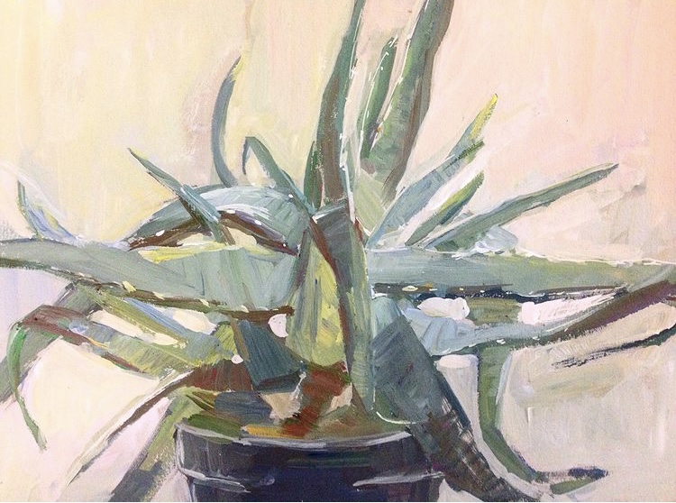 Aloe vera, 2018, 12x20 sm, gouache, paperboard