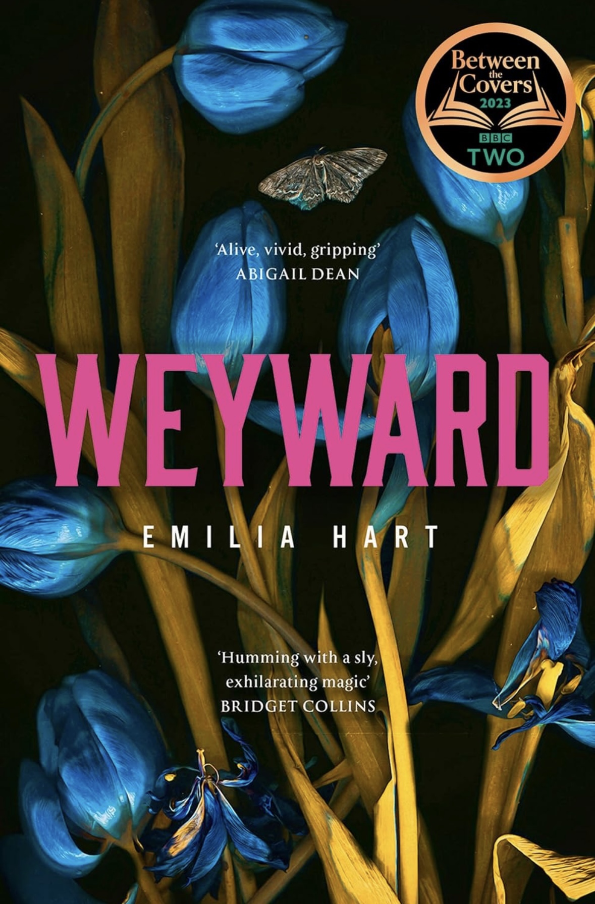 Weyward Emilia Hart