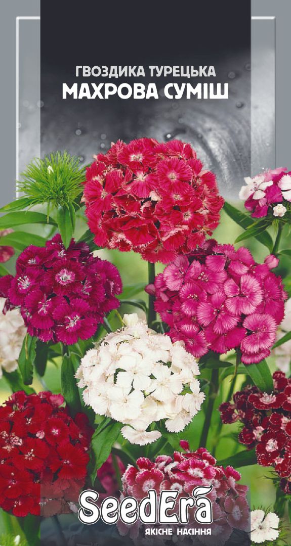 Насіння Квіти Гвоздика Турецька махрова суміш, 0,5 г