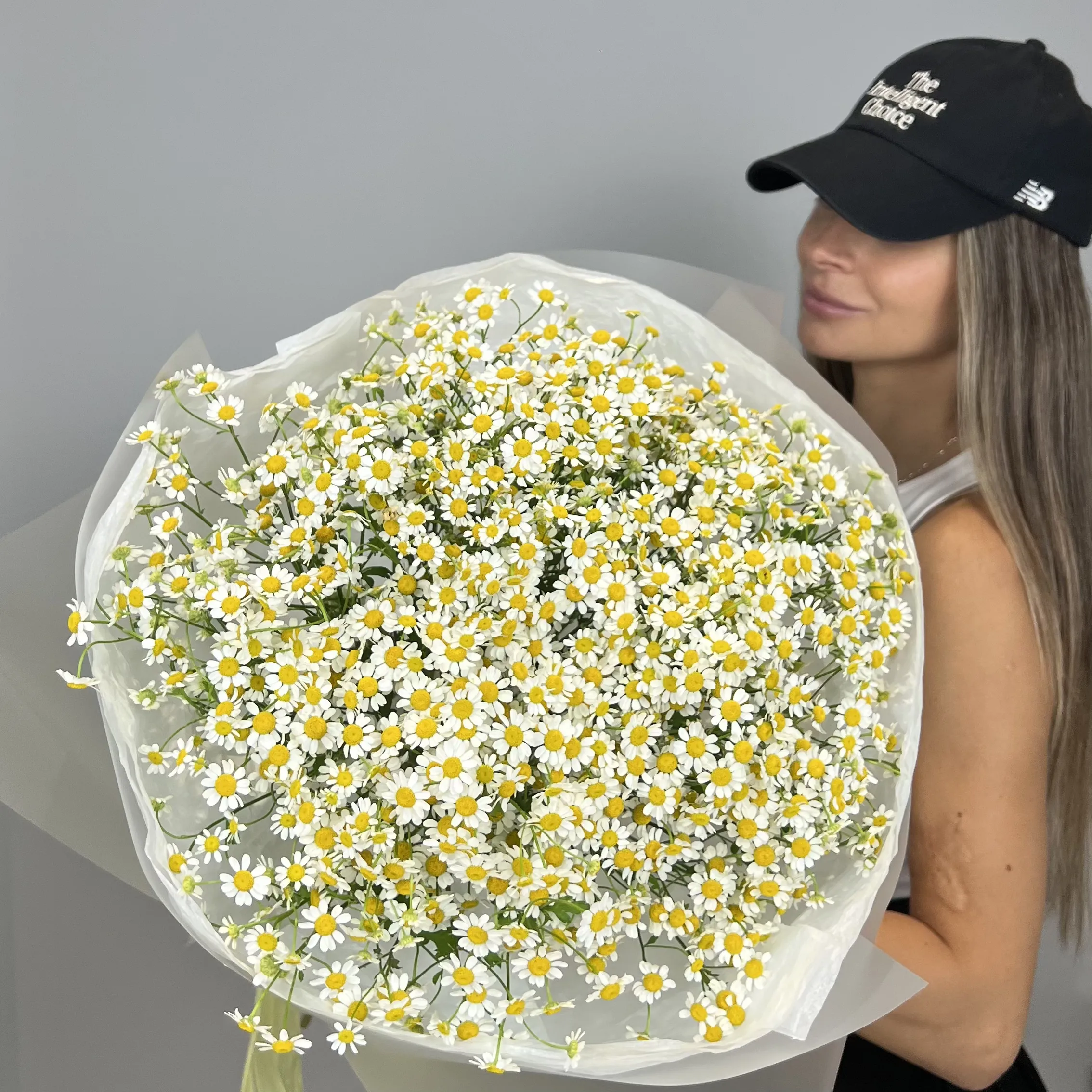 Daisy
