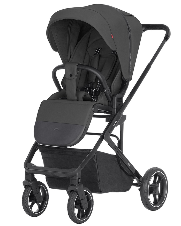 Коляска прогулянкова Carrello Alfa CRL-5508 Graphite Grey