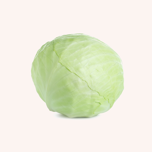 Green Cabbage