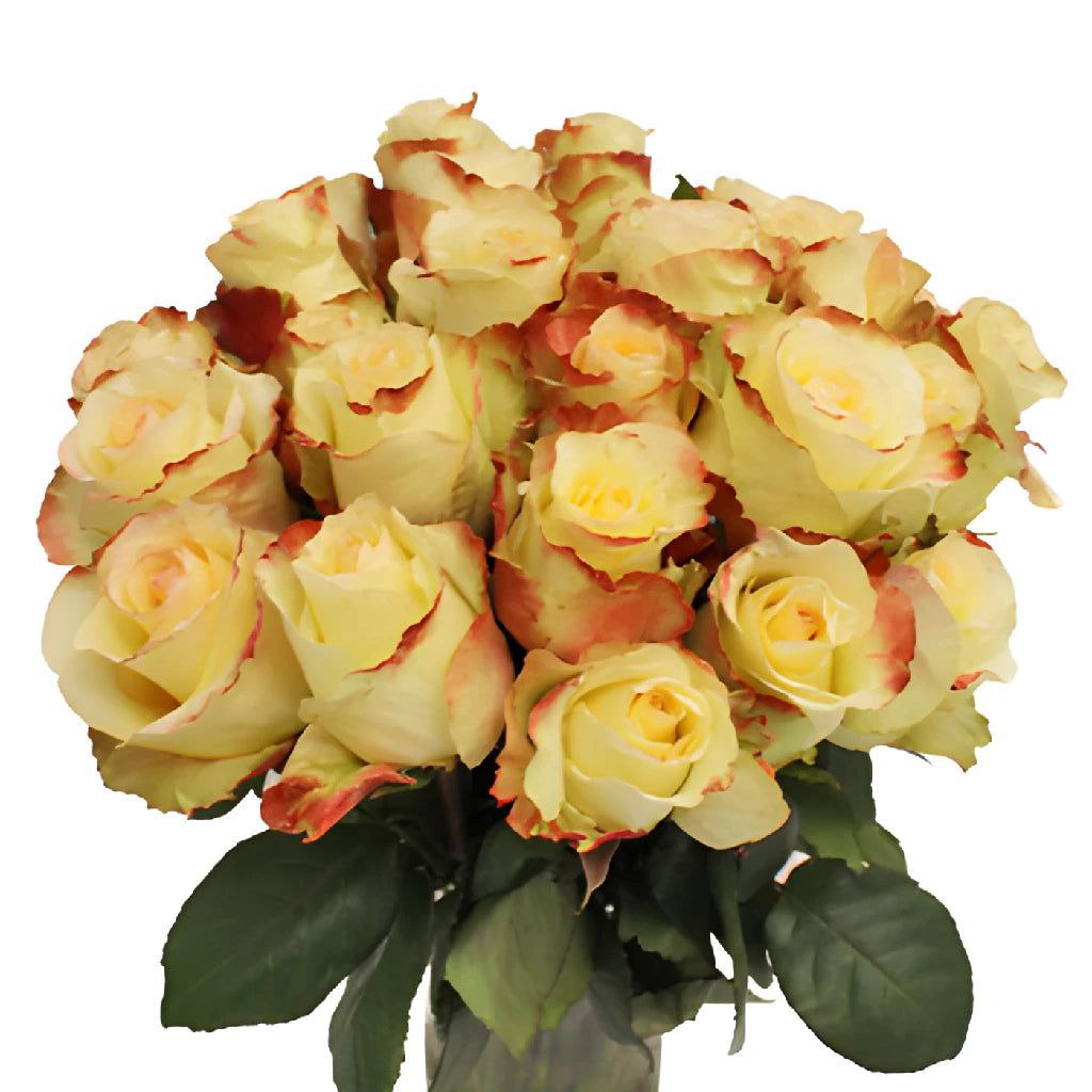 Аубаде (Aubade)