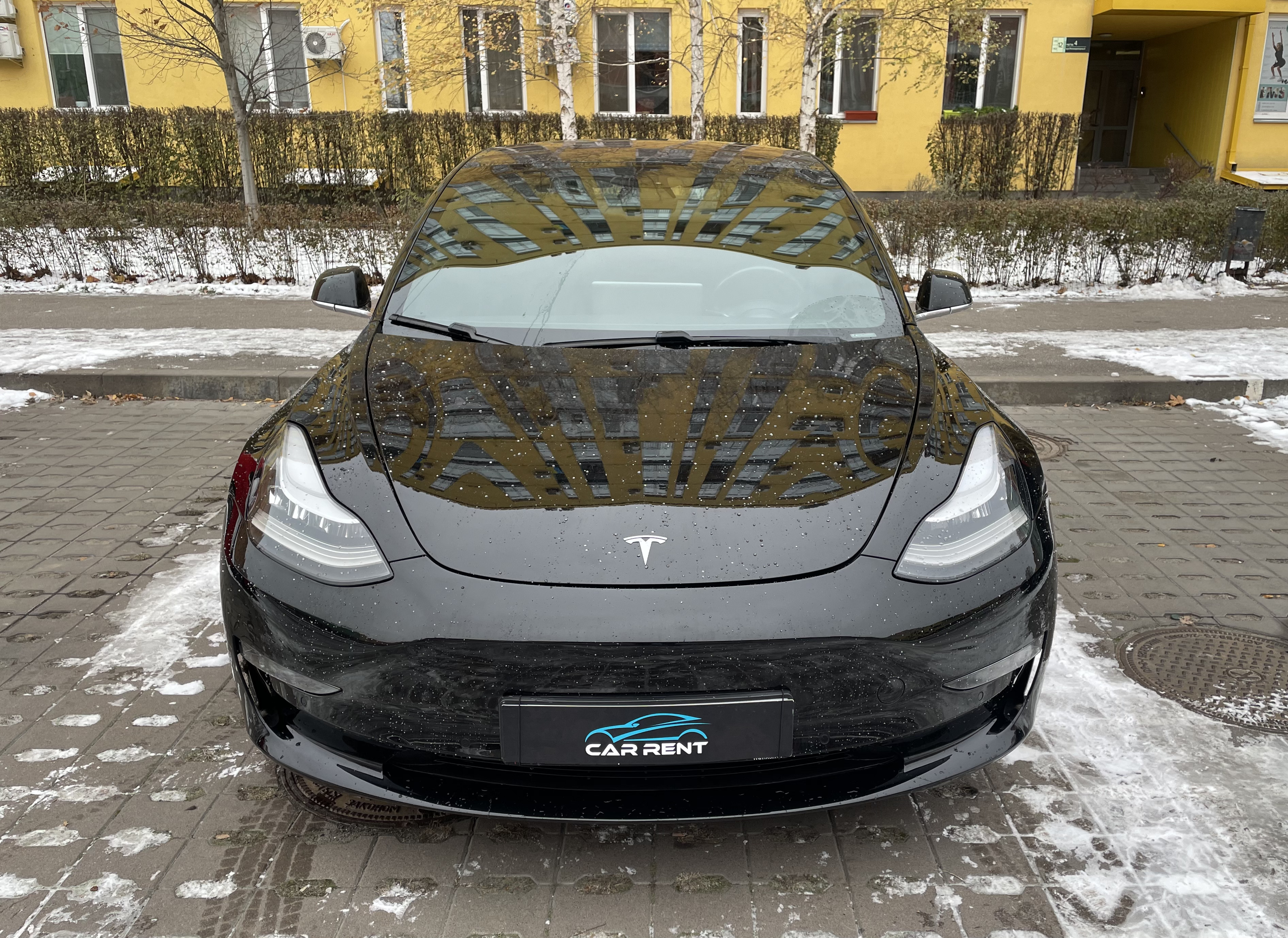TESLA MODEL 3 2019