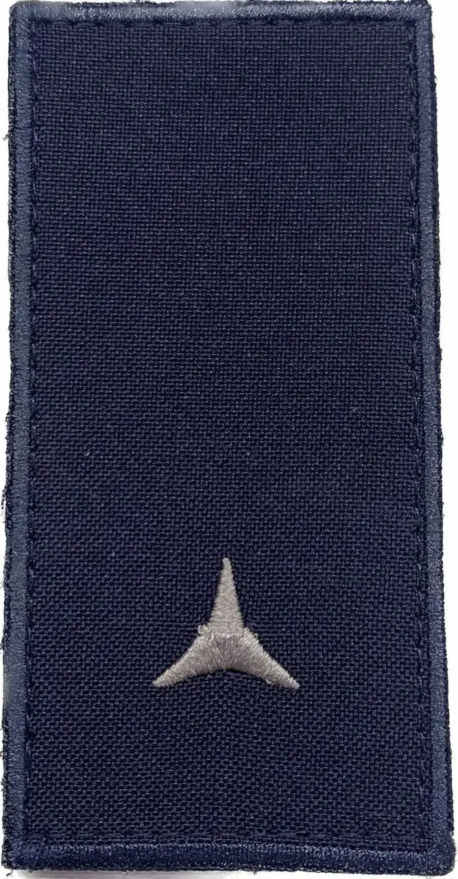 Погон Сержант ДСНС ( на липучці)