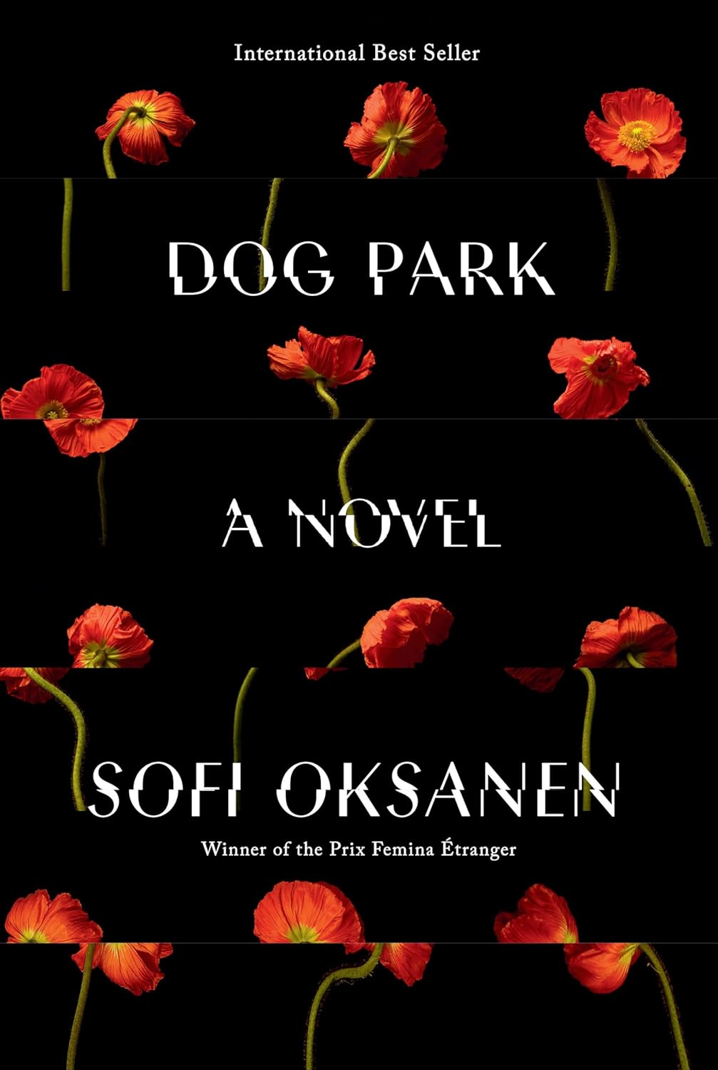 Dog Park. Sofi Oksanen