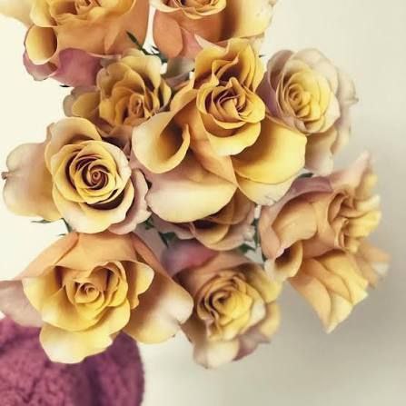 Хані Колорама (Honey Colorama)