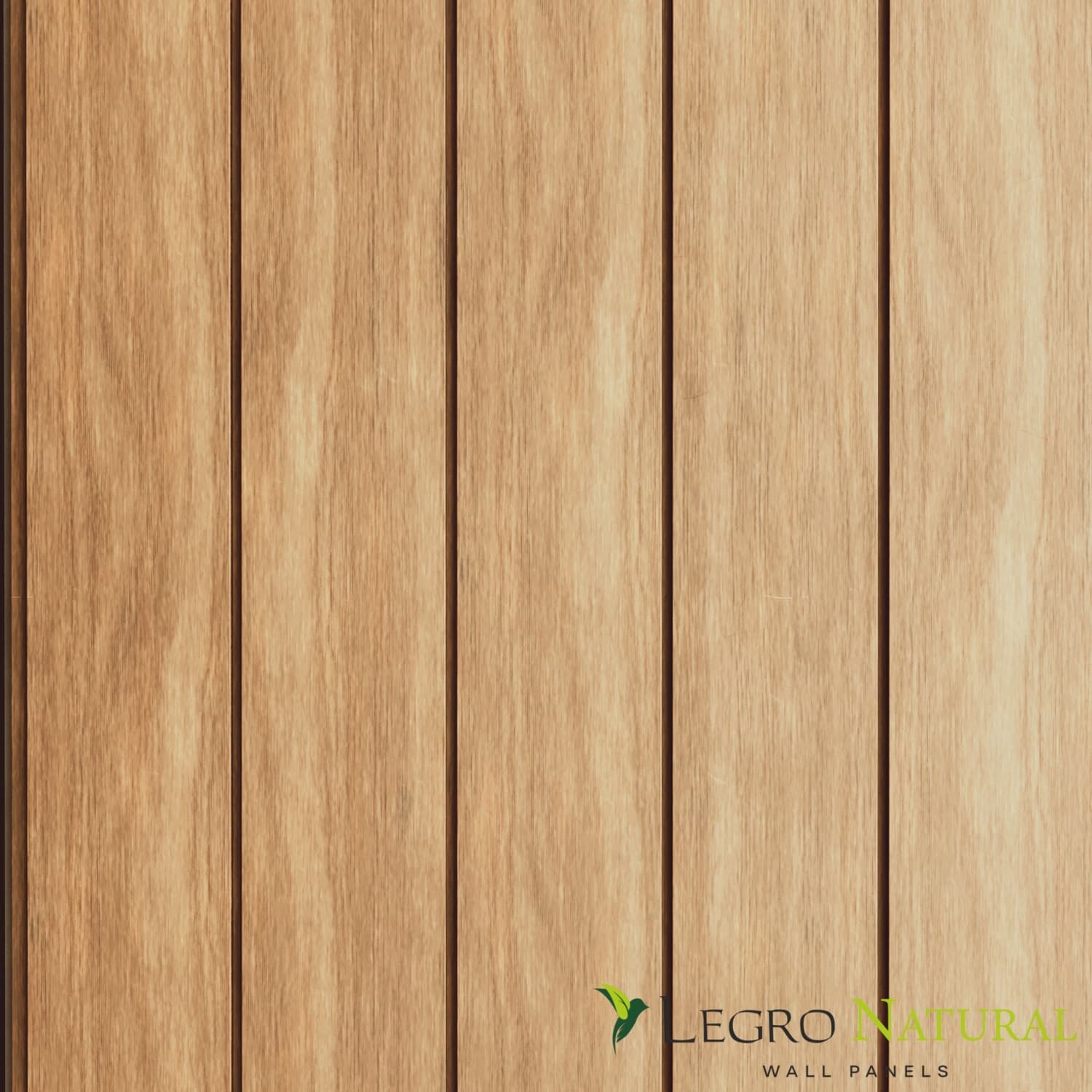 Legro Natural FS 21 Golden Maple