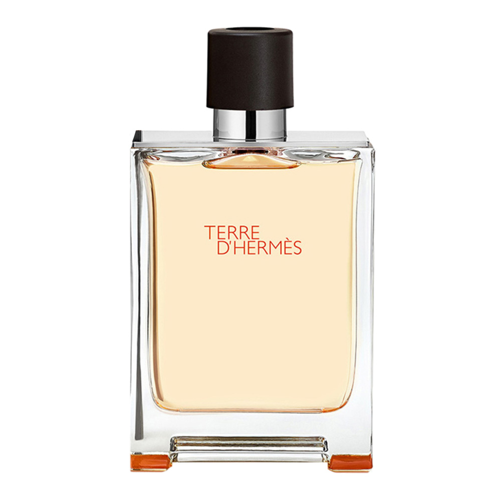 Hermes Terre D`Hermes