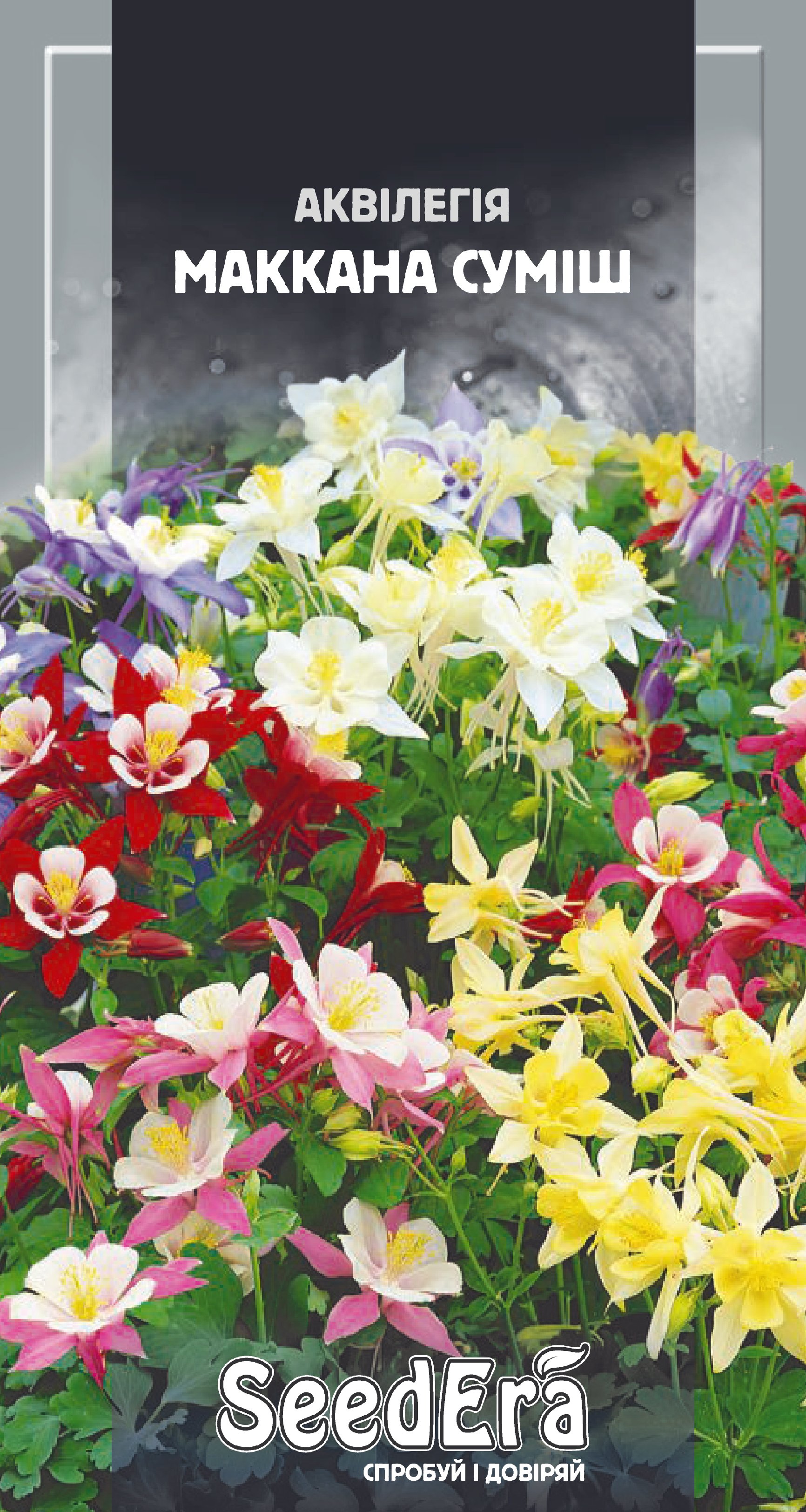 Насіння Квіти Аквілегія МакКана Суміш багаторічна, 0,1 г