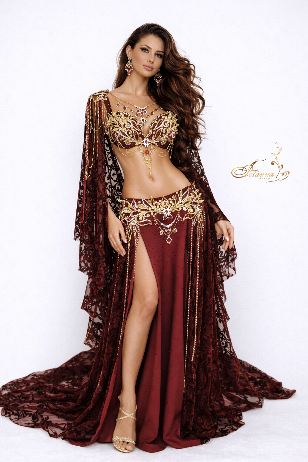 Royal bordo belly dance costume