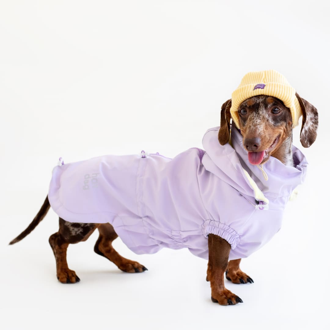 Вітровка для такс Hat-Dog лілова