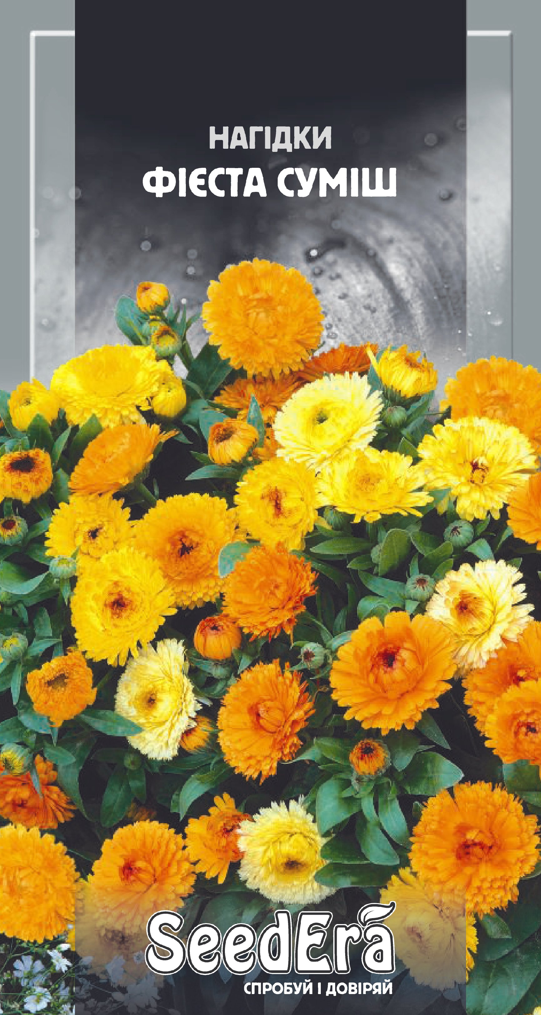 Насіння Квіти Нагідки Фієста суміш 1 г