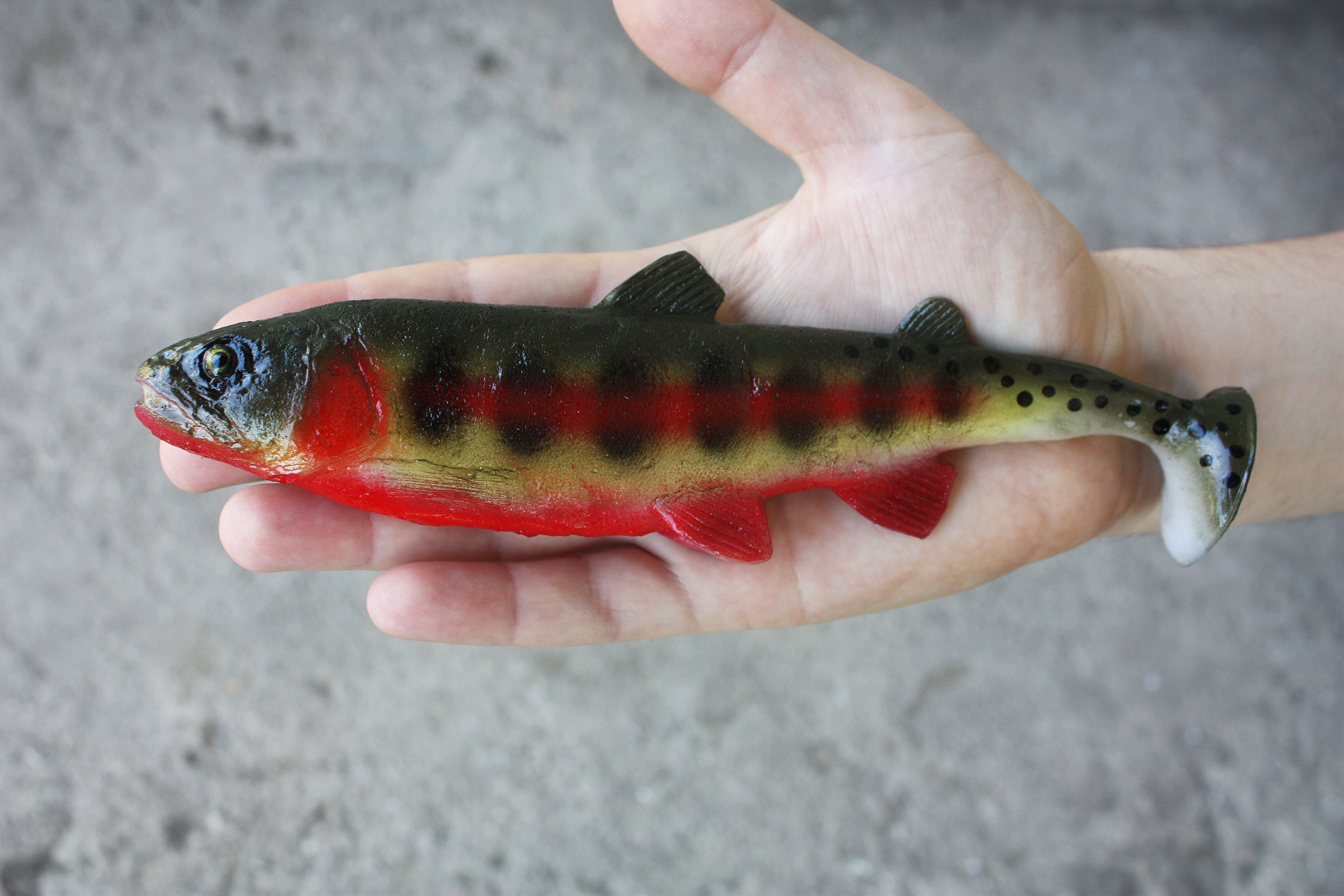 A&S Golden Trout 8.3