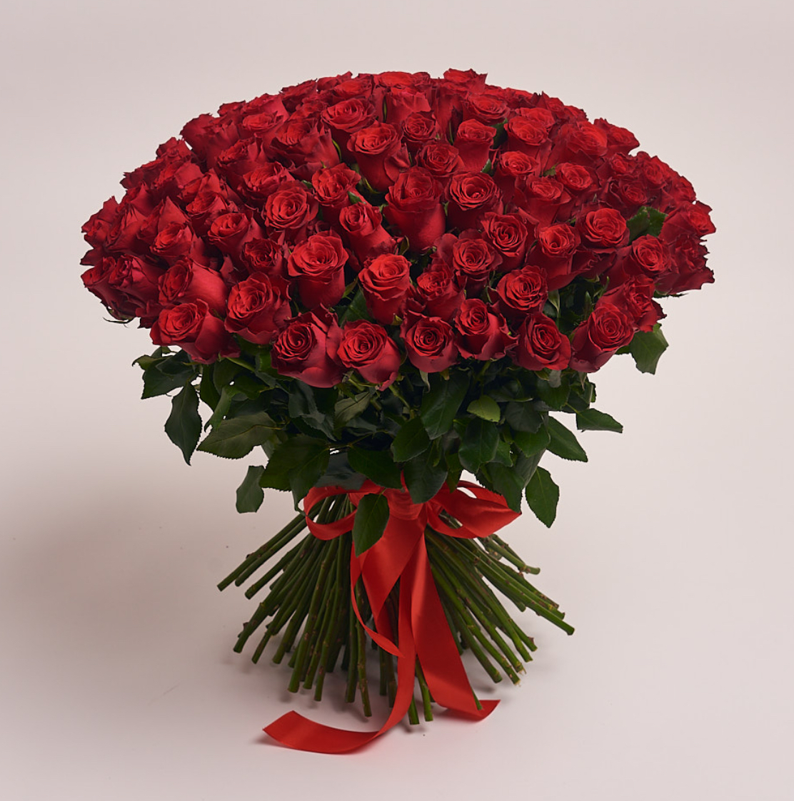 Троянда родос 2р.(ЗКС)