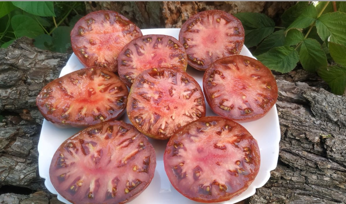 Помідор брендівайн 25 насінин