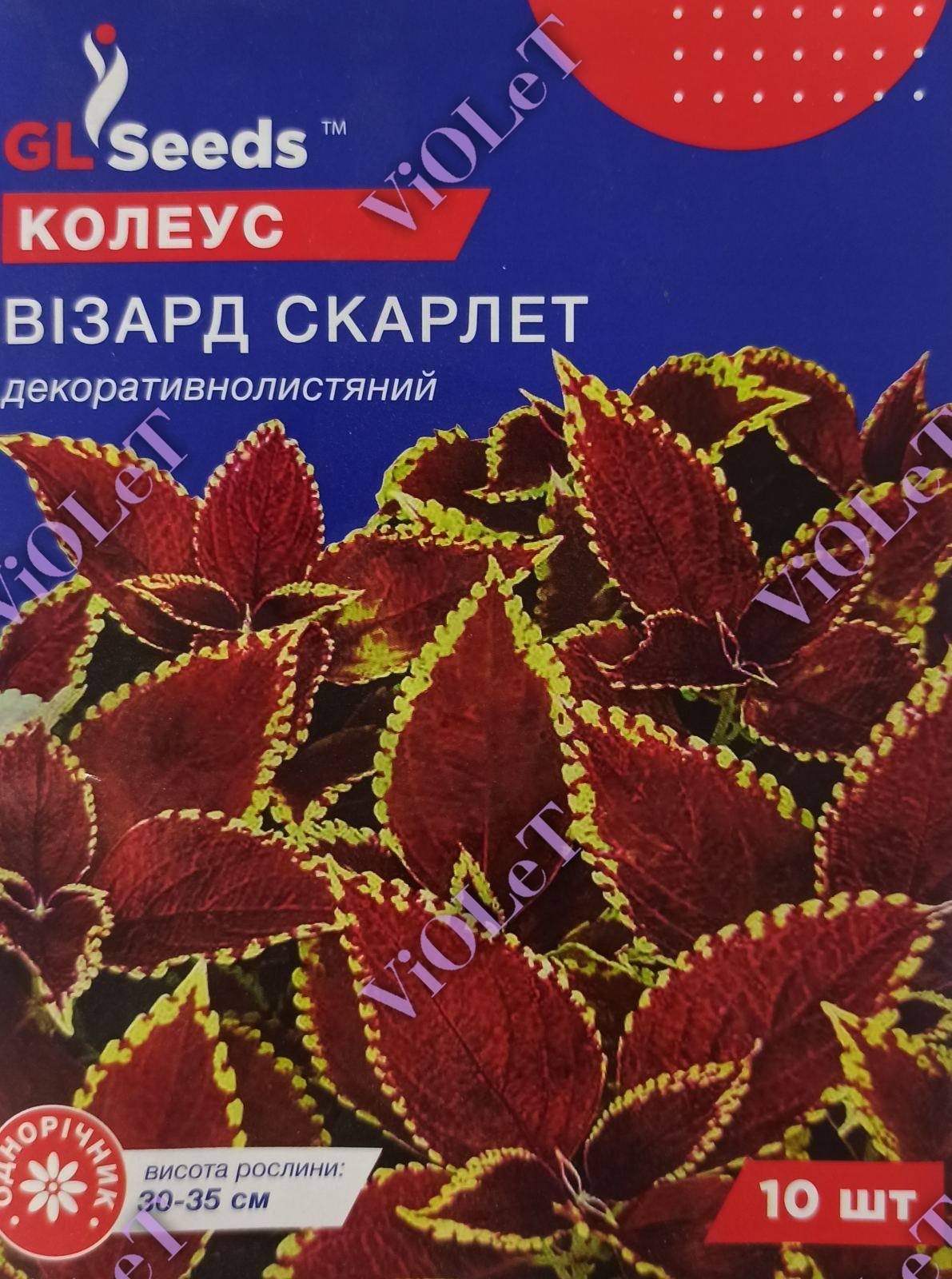 Колеус Візард Скарлет декоративнолистяний, 10 шт. GL Seeds