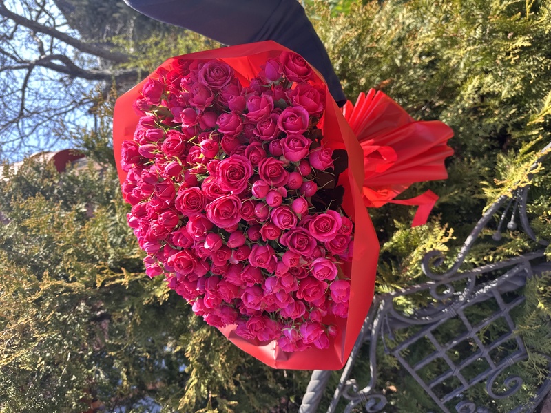 51 гілкова троянда "Ред Алексін"