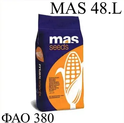 Насіння кукурудзи MAS 48.L Майсадур ФАО 380 Кукурудза високої врожайності