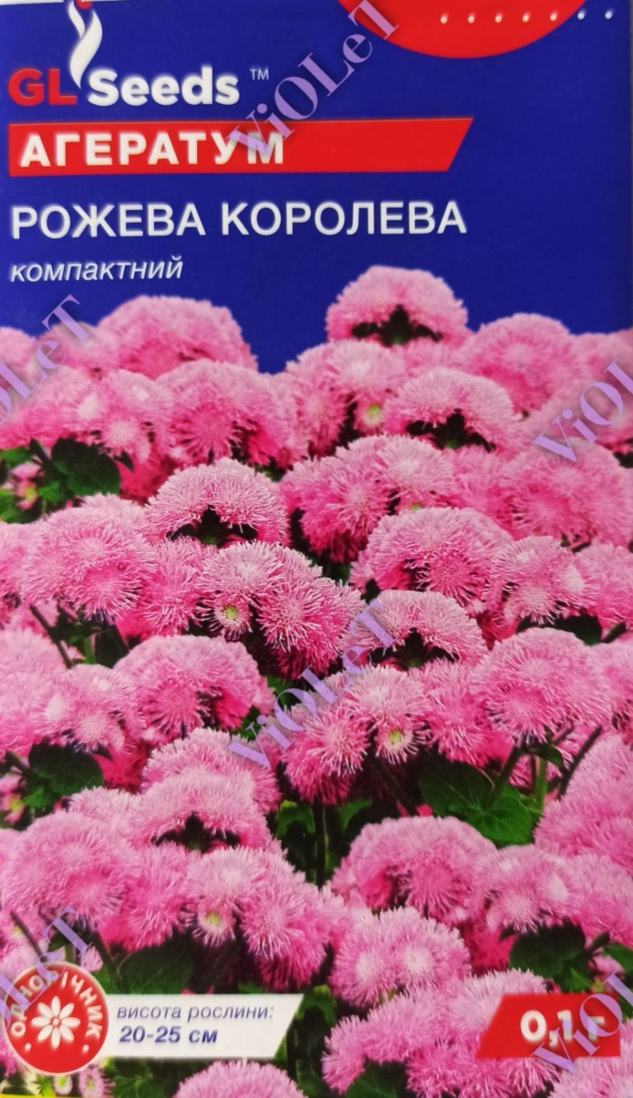 Агератум Рожева Королева компактний, 0,1 г GL Seeds