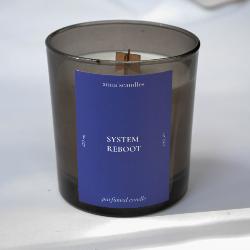 SYSTEM REBOOT