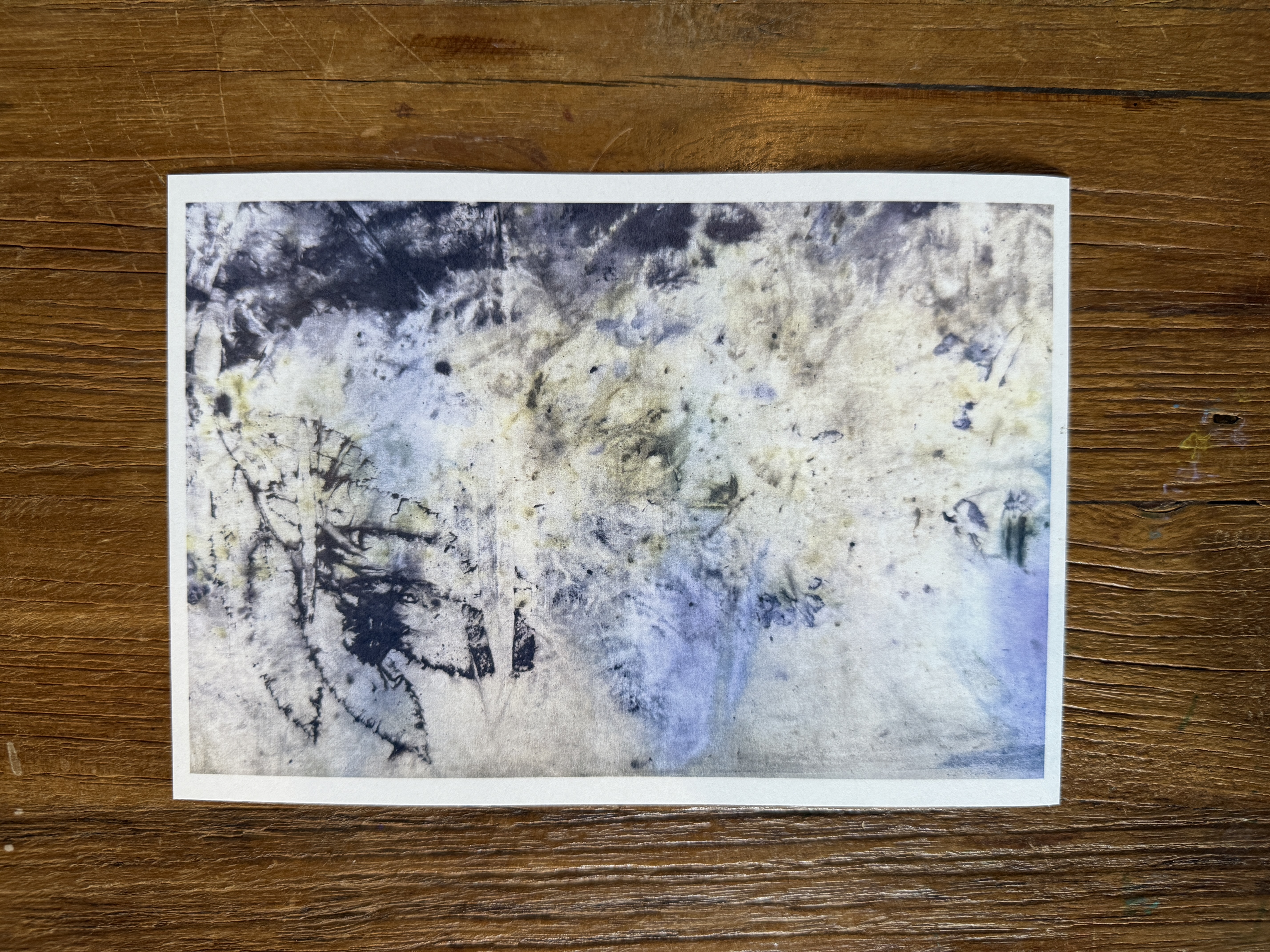 Tirage d'art A4 - Printemps vivifiant / Art print - Alive spring