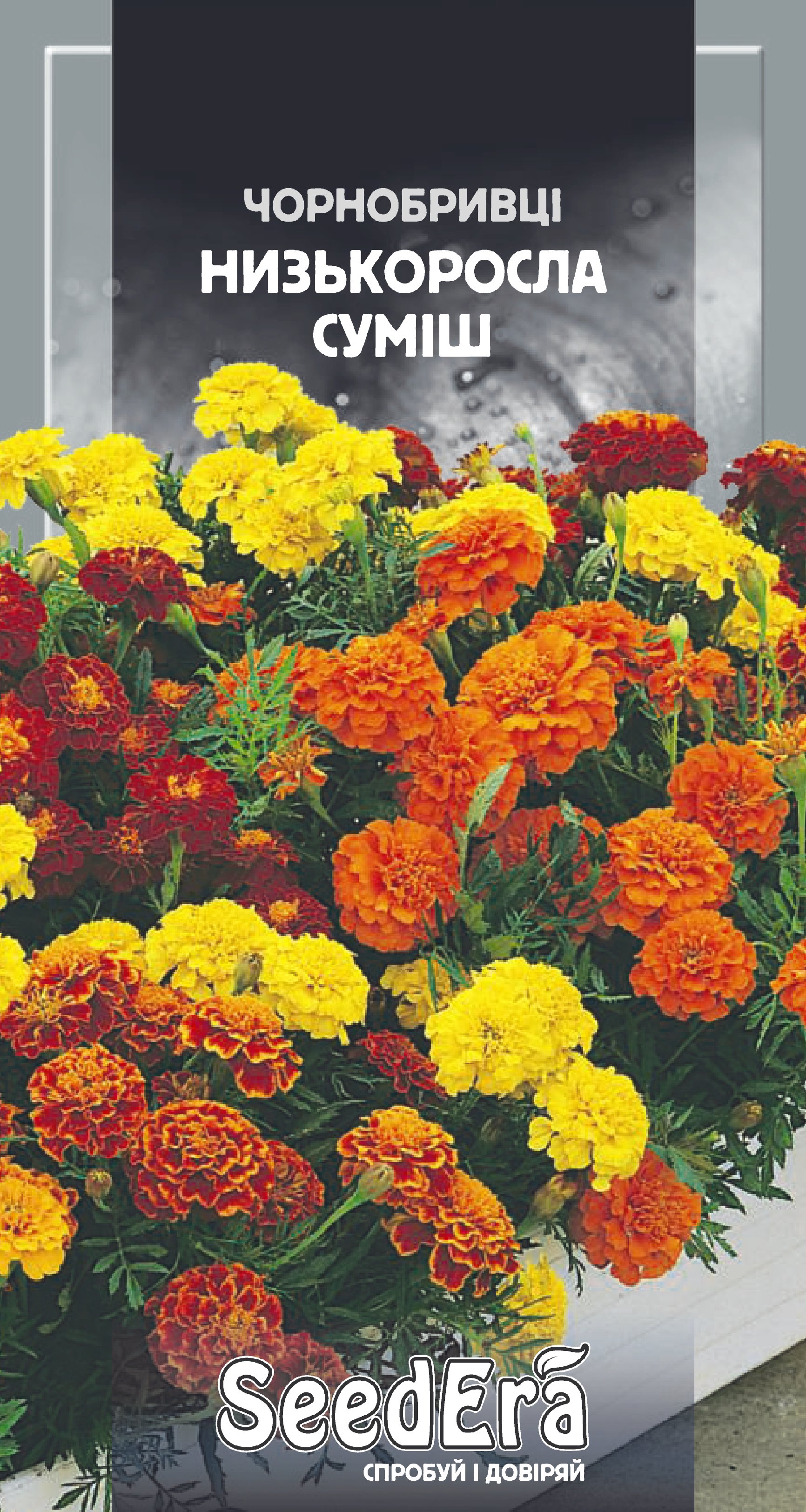Насіння Квіти Чорнобривці низькоросла відхил. Низькорос суміш, 0,5 г