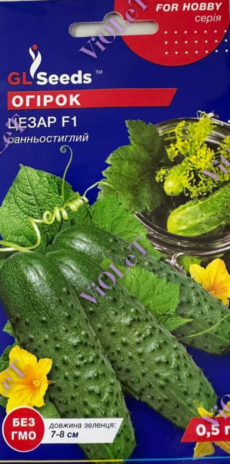 Огірок Цезар F1, 0,5 г, GL Seeds