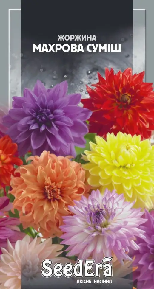 Насіння Квіти Жоржина Махрова суміш, 0,5 г