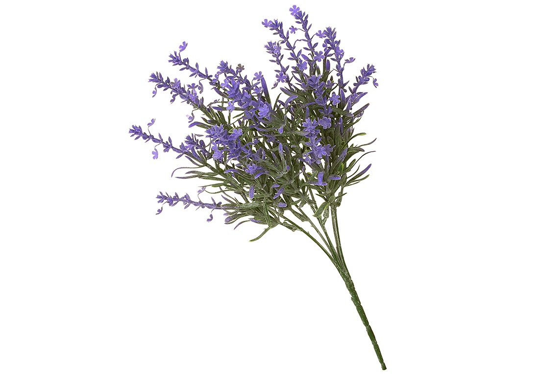 Гілка Лаванди