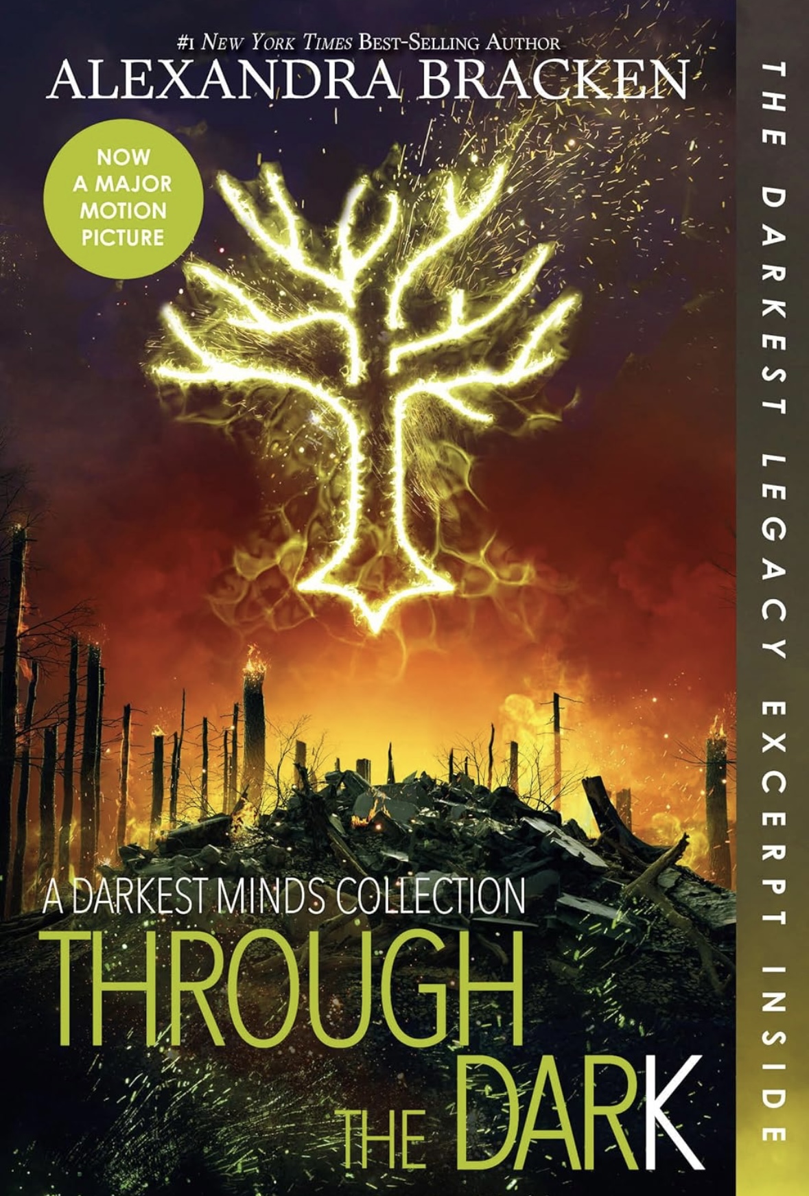 Through the Dark (Bonus Content)-A Darkest Minds Collection (A Darkest Minds Novel) Alexandra Bracken 