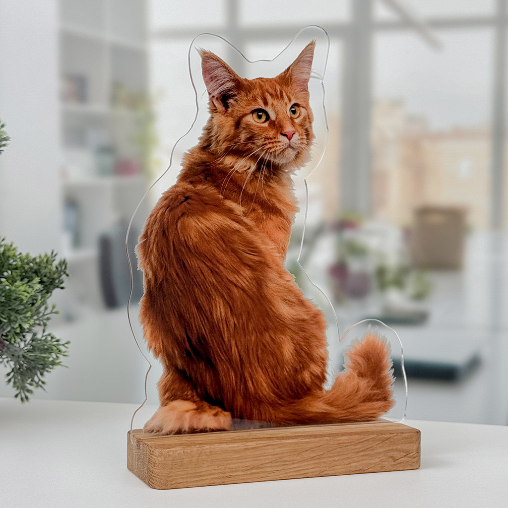 Акрилова фігурка "Улюбленці"