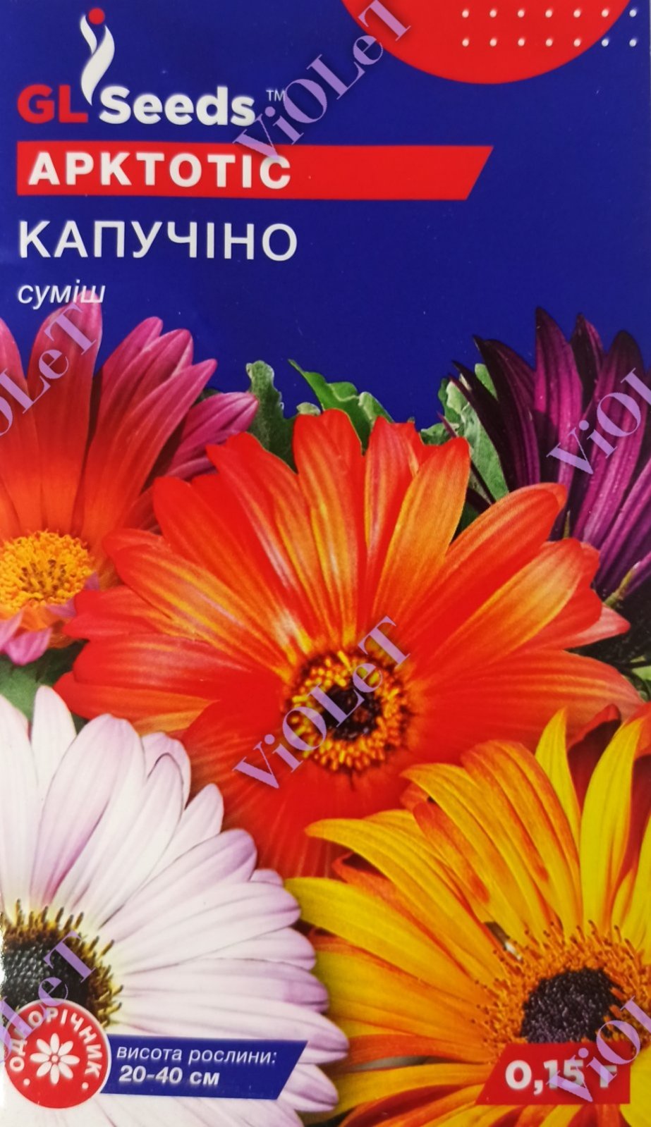 Арктотіс Капучіно суміш, 0,15 г GL Seeds
