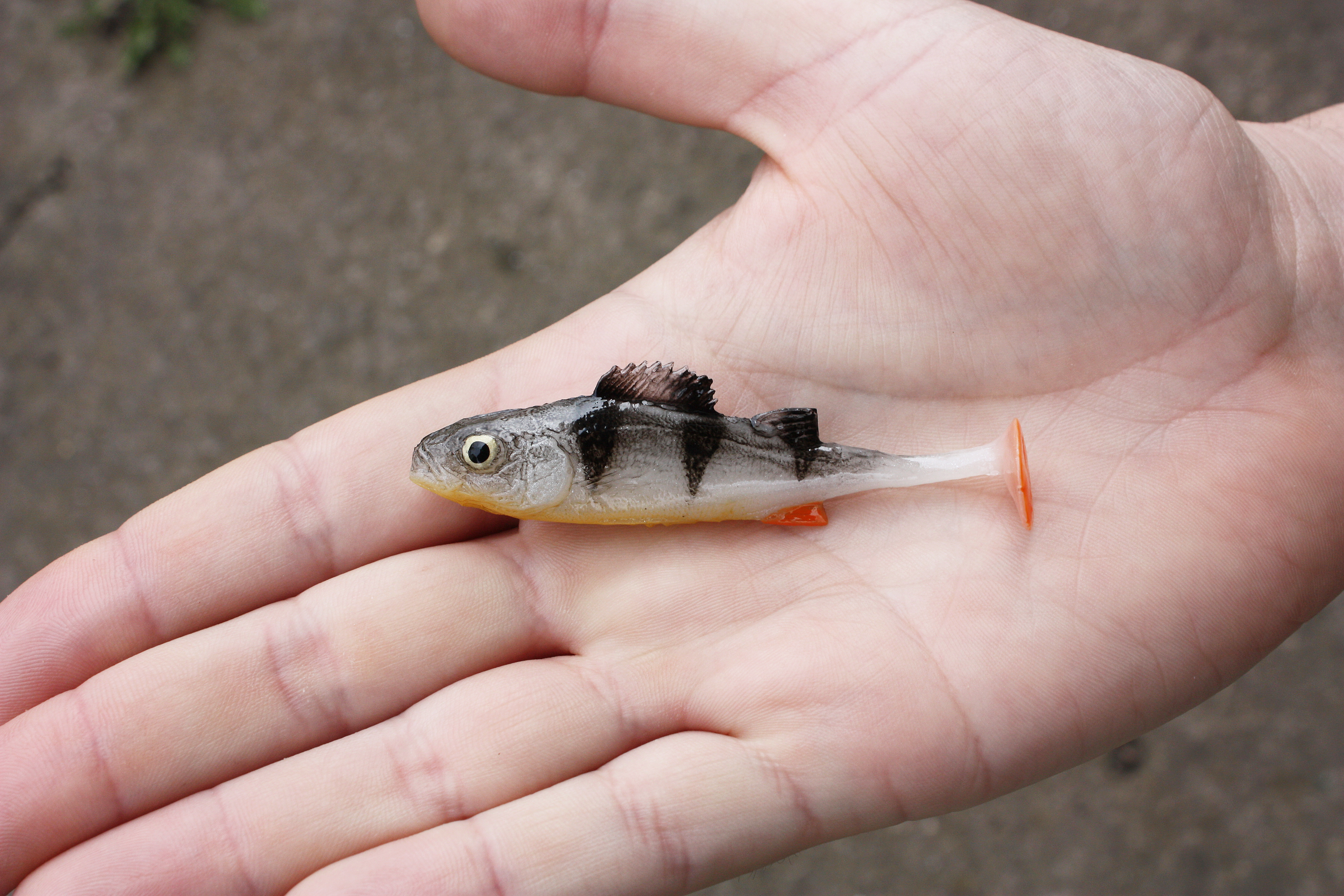 A&S Baby Perch 3" (75мм) Grey