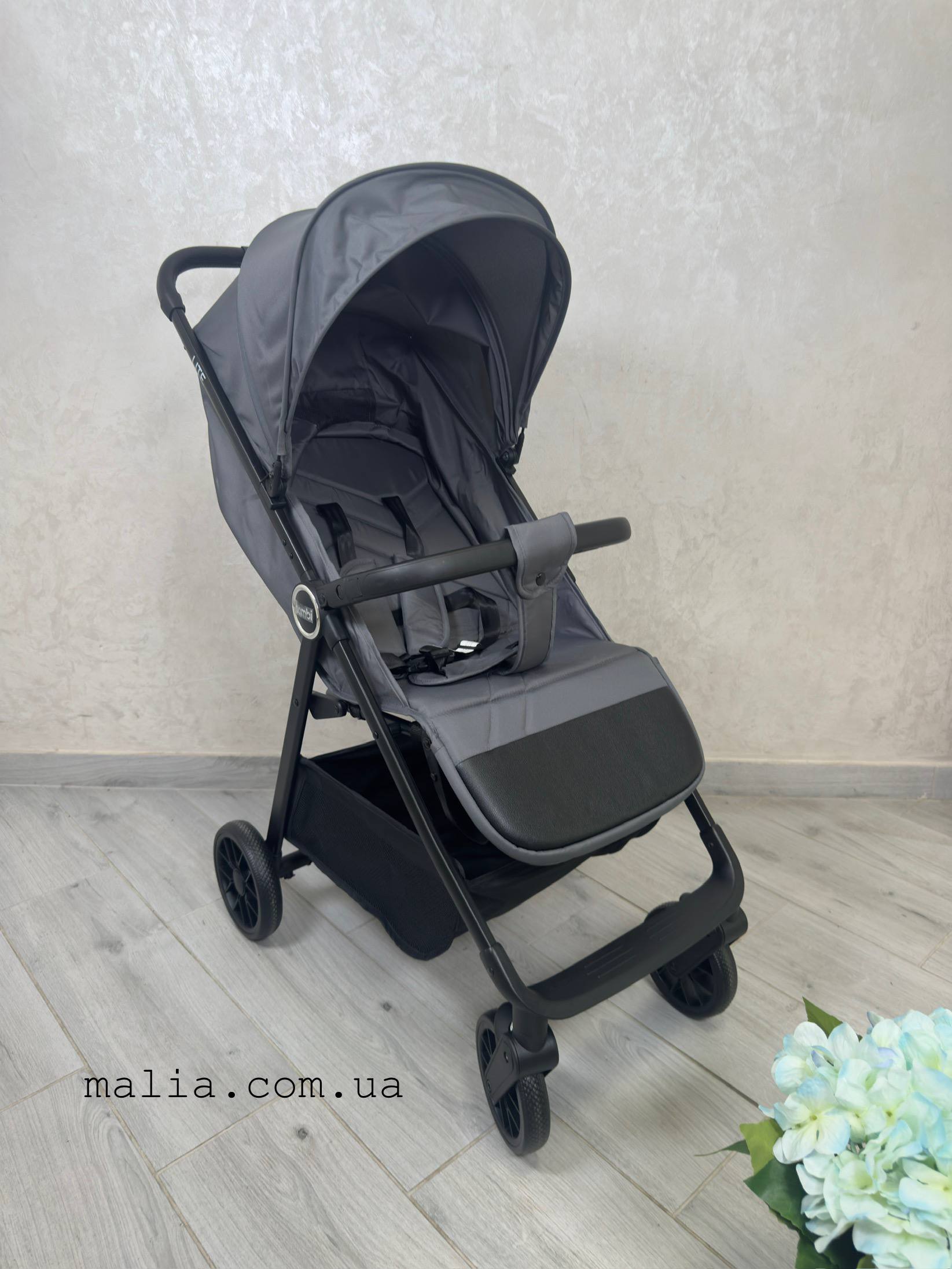 Коляска дитяча Bambi M 6317 LITE Dark Gray