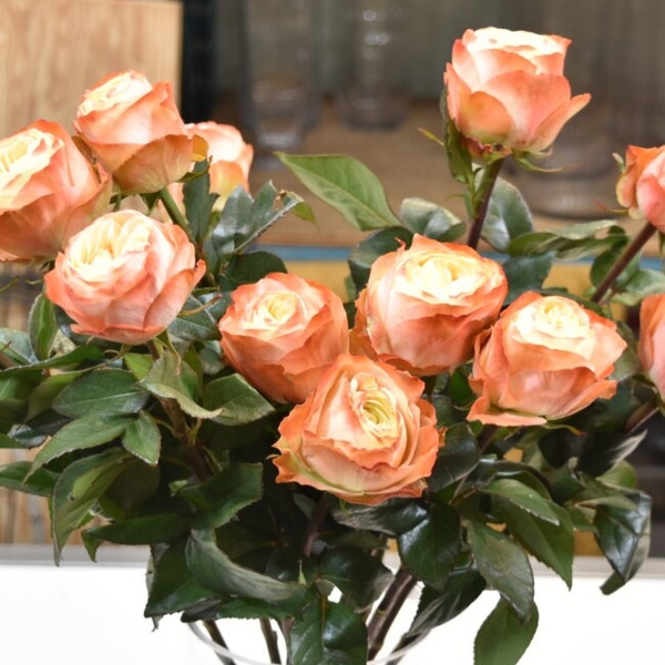 Карма — Karma