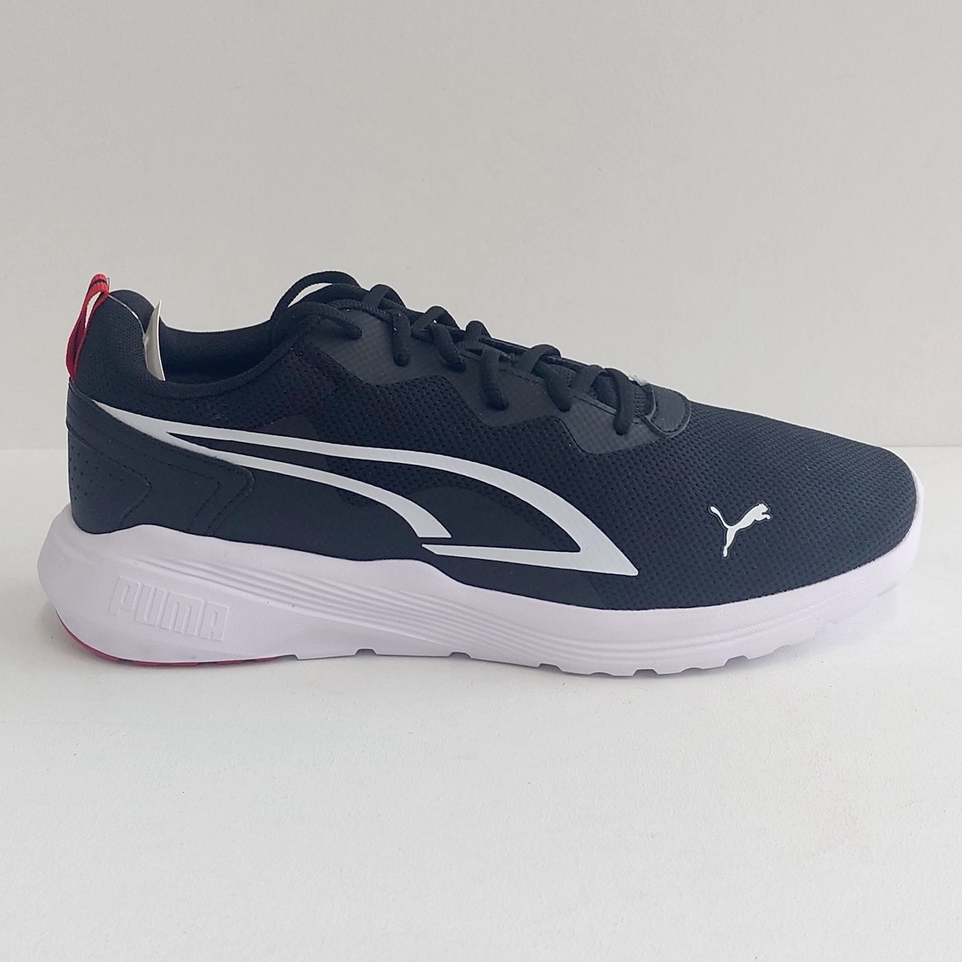Кросівки чоловічі Puma All-Day Active 386269 (43)