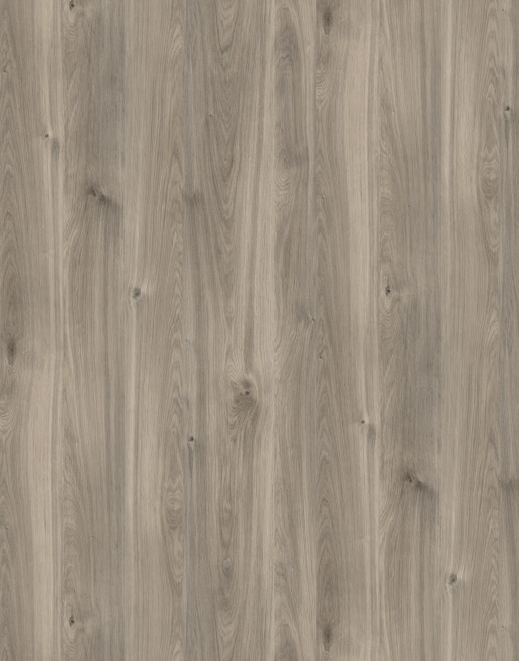 Дуб Костелло Сірий