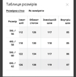 Чоловічі гірськолижні штани Freever NF 21696 (батал) чорні
