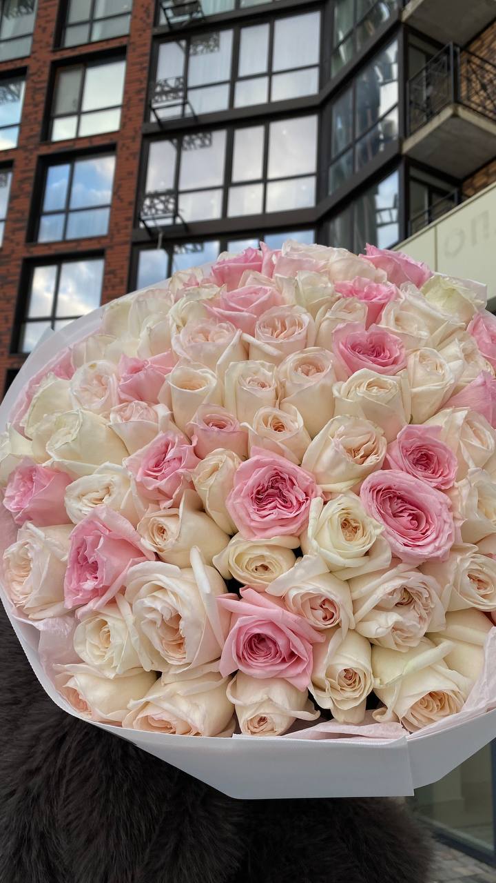 101 парфумована троянда сортів Pink та White O`haras