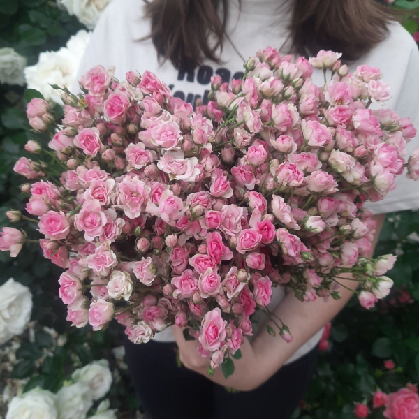 Джипсі Роуз (спрей) — Gypsy Rose Spray