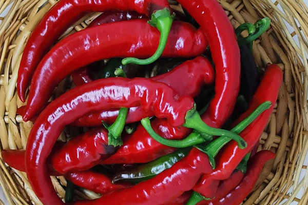 Перець  гіркий  Хірош 100нас -1000 нас