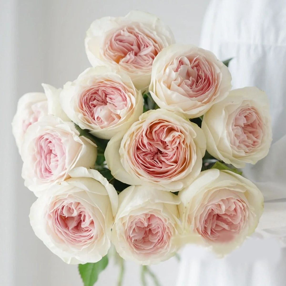 Лорена Саммерхаус (Lorena Summerhous