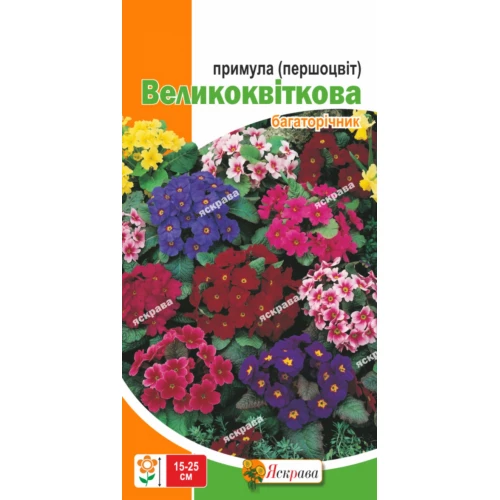 Першоцвіт Крупноквітковий (примула) суміш 0.1 г