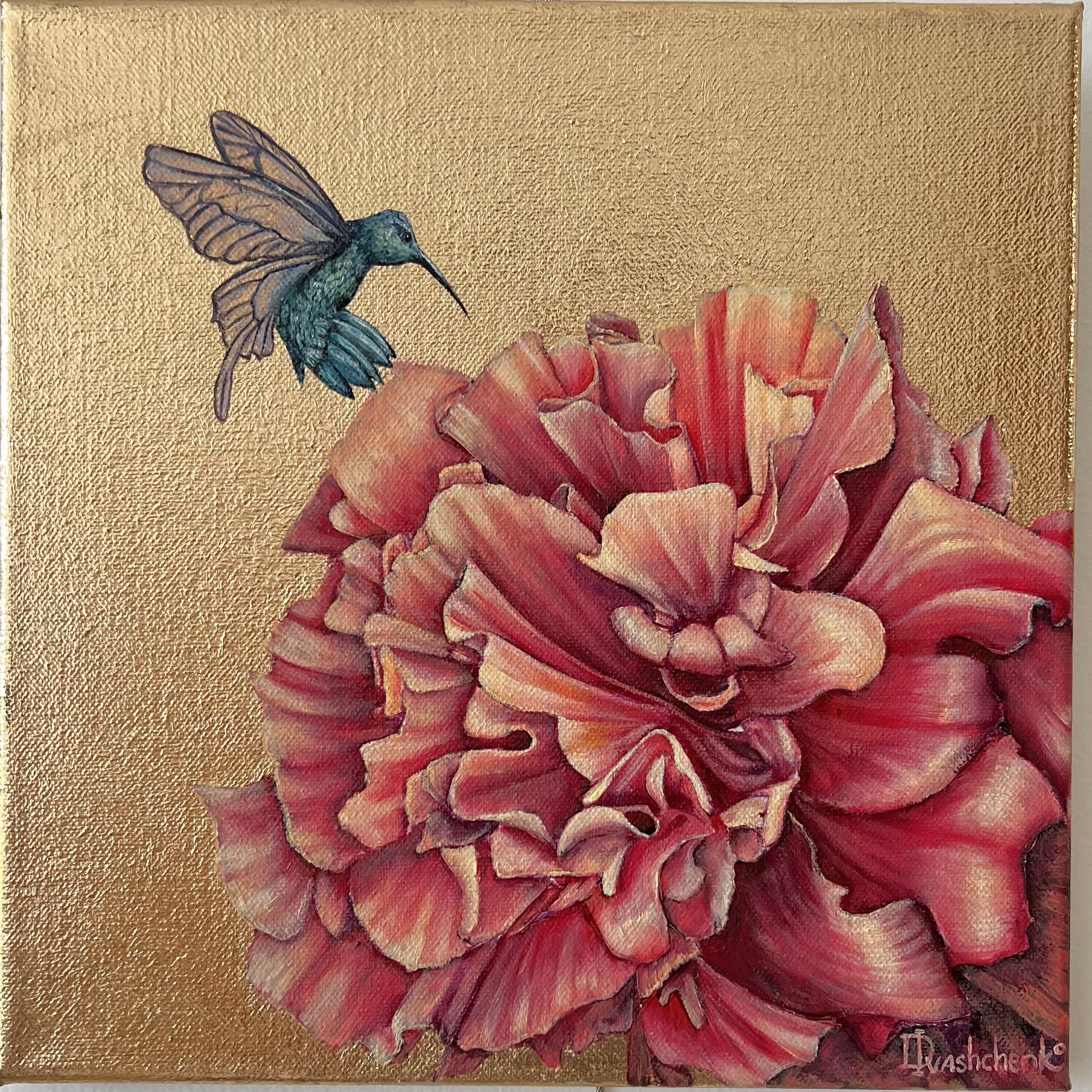 Hibiscus