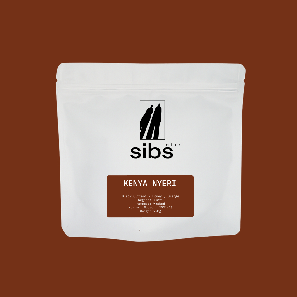 KENYA NYERI