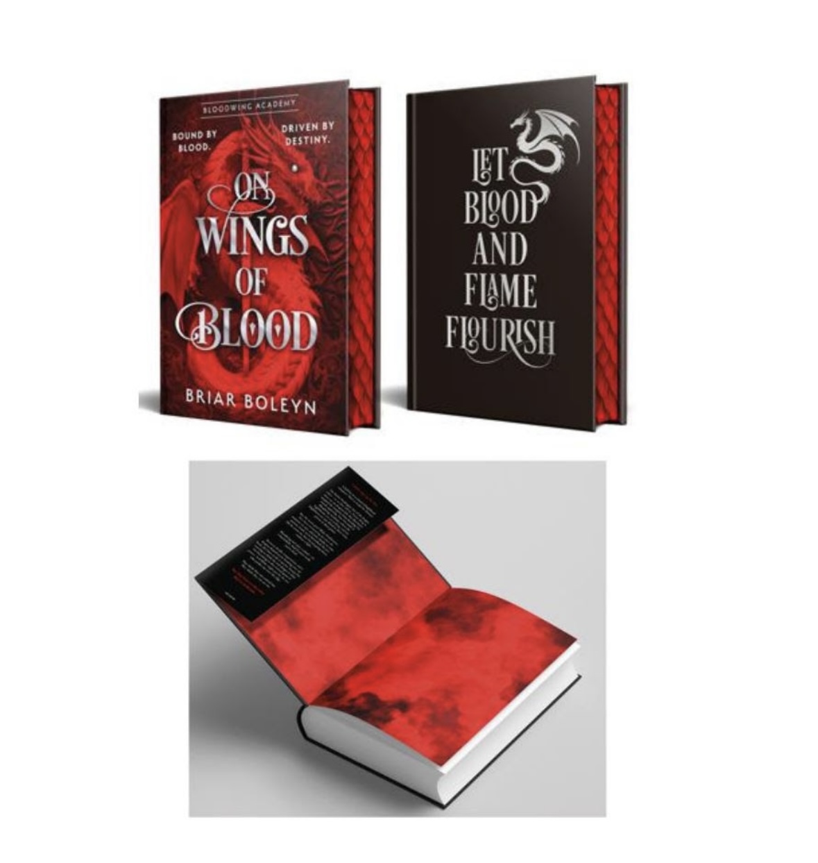 On Wings of Blood Briar Boleyn book 1