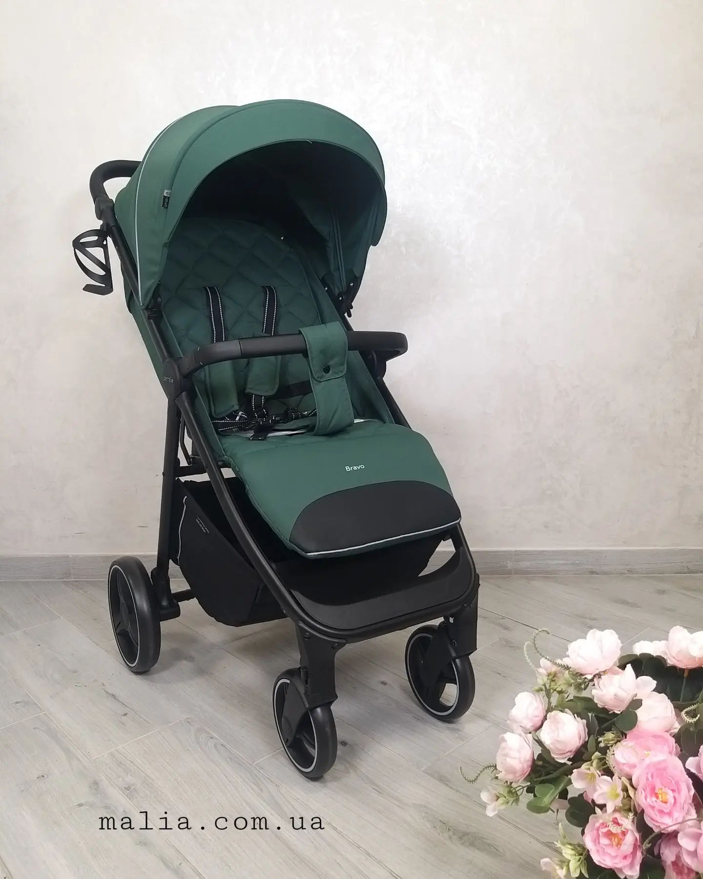 Візок прогулянковий Carrello Bravo CRL-8512 Spring Green
