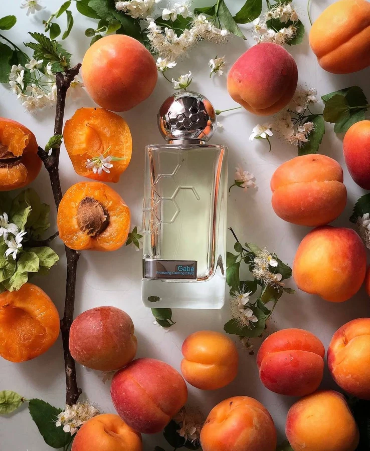 Hormone Paris This Is Not Gaba Eau De Parfum