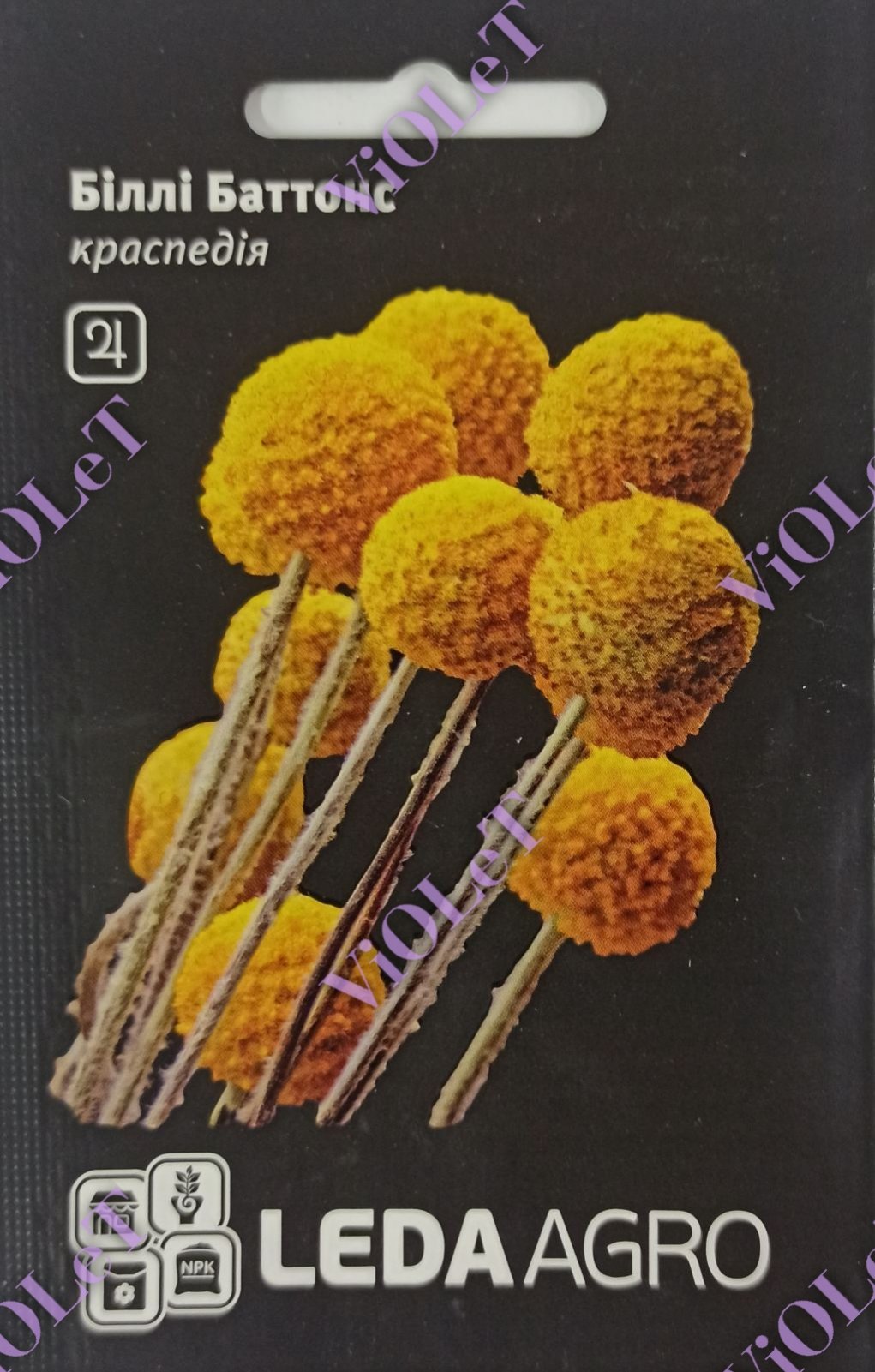Біллі Баттонс краспедія, 0,05г, LedaAgro
